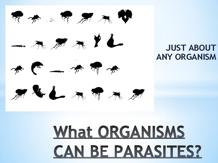 JUST ABOUT ANY ORGANISM 