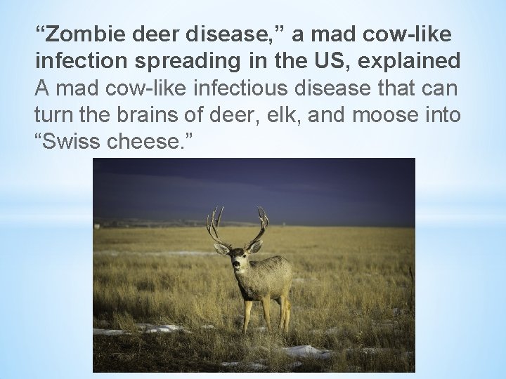 “Zombie deer disease, ” a mad cow-like infection spreading in the US, explained A