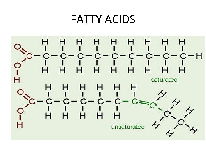 LIPIDS L 2 BIOLOGY What are Lipids Lipids