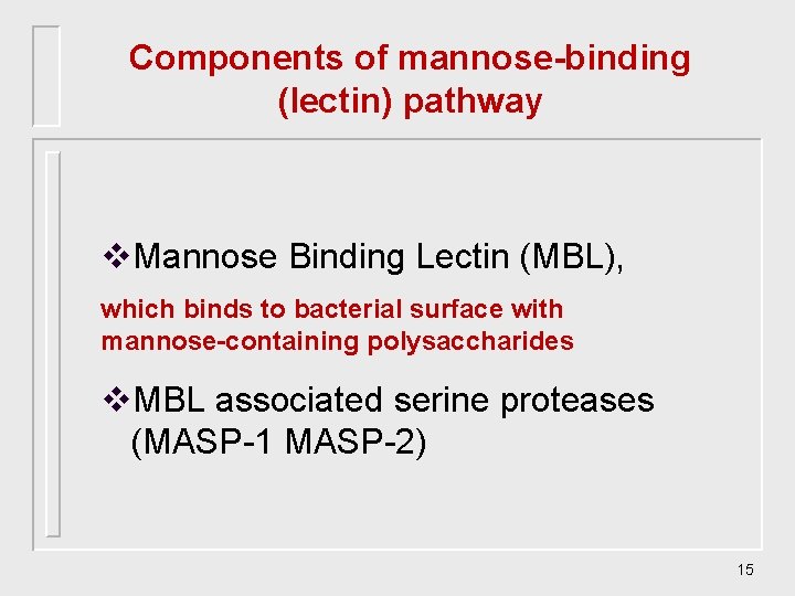 Components of mannose-binding (lectin) pathway v. Mannose Binding Lectin (MBL), which binds to bacterial Components of mannose-binding (lectin) pathway v. Mannose Binding Lectin (MBL), which binds to bacterial