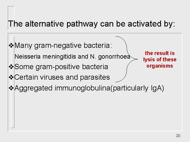 The alternative pathway can be activated by: v. Many gram-negative bacteria: Neisseria meningitidis and The alternative pathway can be activated by: v. Many gram-negative bacteria: Neisseria meningitidis and
