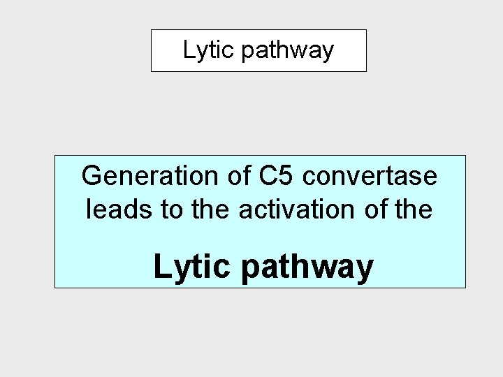 Lytic pathway Generation of C 5 convertase leads to the activation of the Lytic Lytic pathway Generation of C 5 convertase leads to the activation of the Lytic