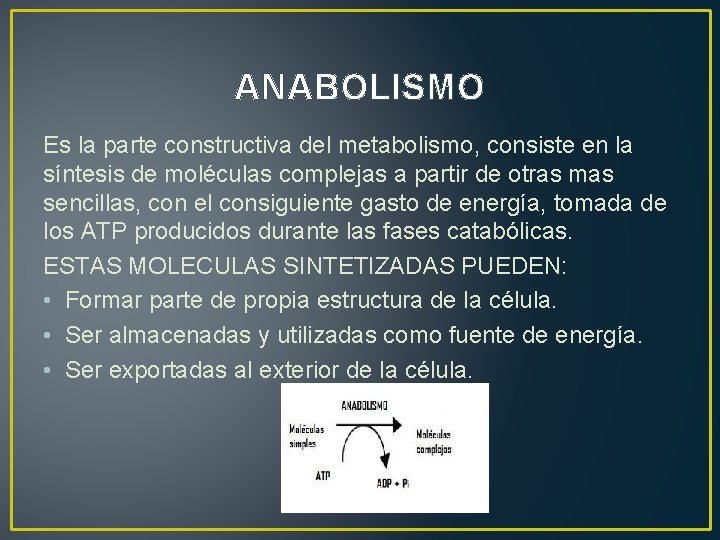 ANABOLISMO Es la parte constructiva del metabolismo, consiste en la síntesis de moléculas complejas