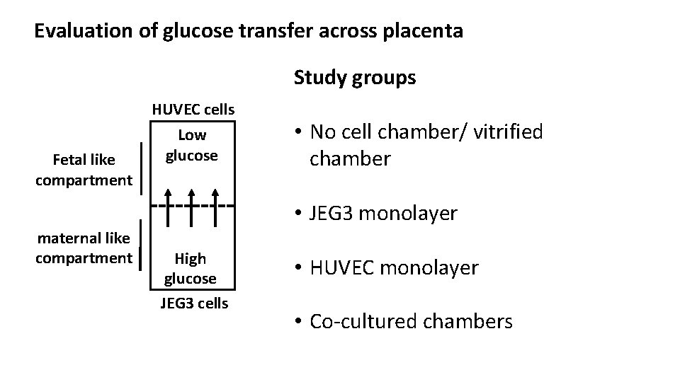 Evaluation of glucose transfer across placenta Study groups HUVEC cells Fetal like compartment maternal
