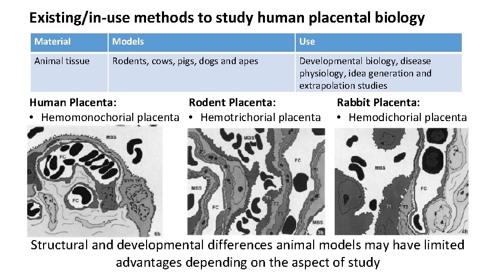 Existing/in-use methods to study human placental biology Material Models Use Animal tissue Rodents, cows,