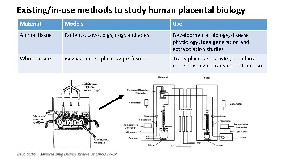 Existing/in-use methods to study human placental biology Material Models Use Animal tissue Rodents, cows,