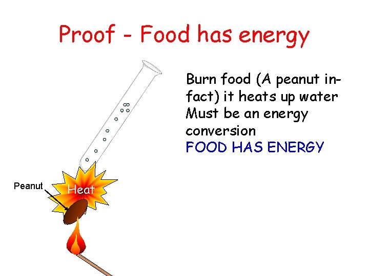 Proof - Food has energy Burn food (A peanut infact) it heats up water