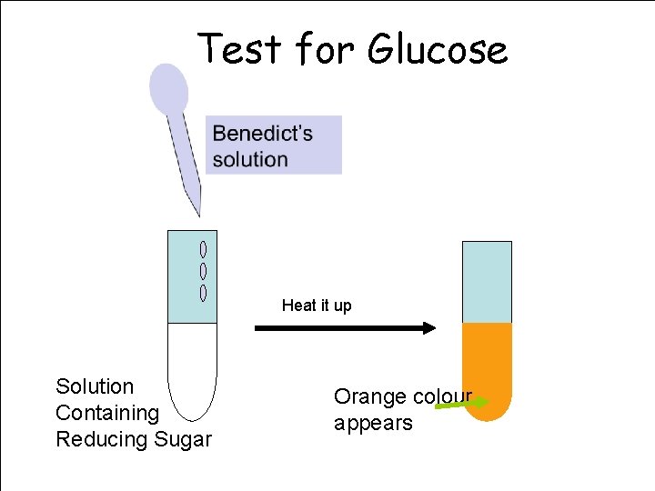 Test for Glucose Heat it up Solution Containing Reducing Sugar Orange colour appears 