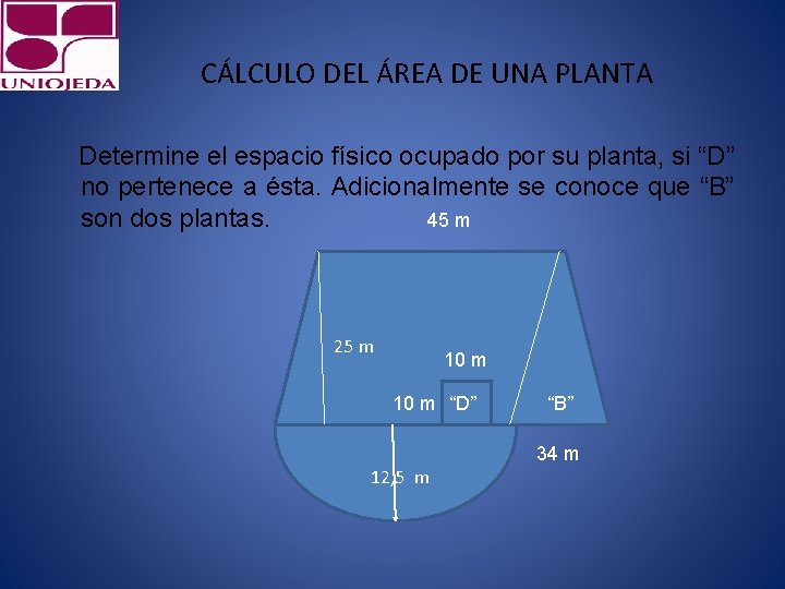 CÁLCULO DEL ÁREA DE UNA PLANTA Determine el espacio físico ocupado por su planta,