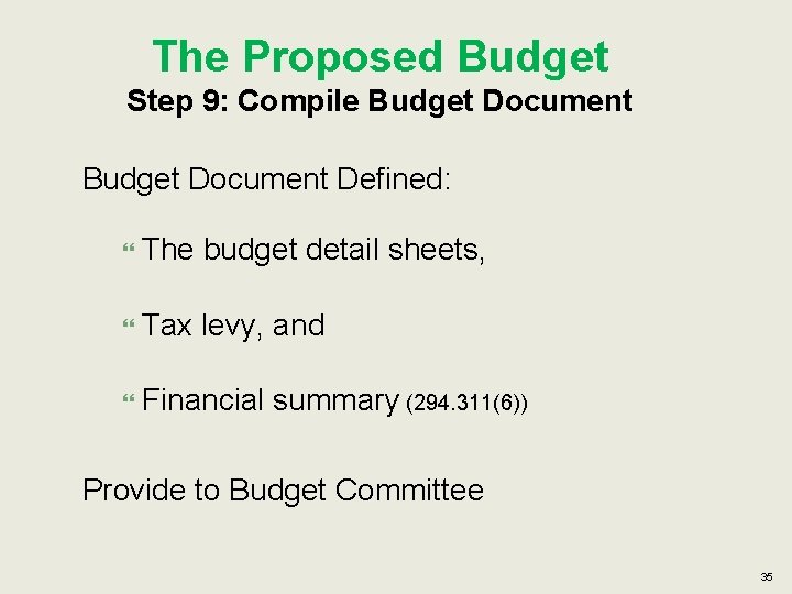 The Proposed Budget Step 9: Compile Budget Document Defined: The budget detail sheets, Tax