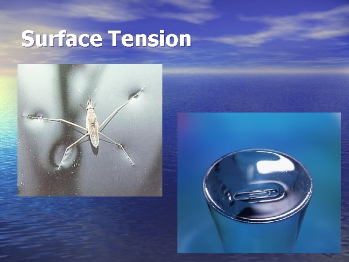 Surface Tension 