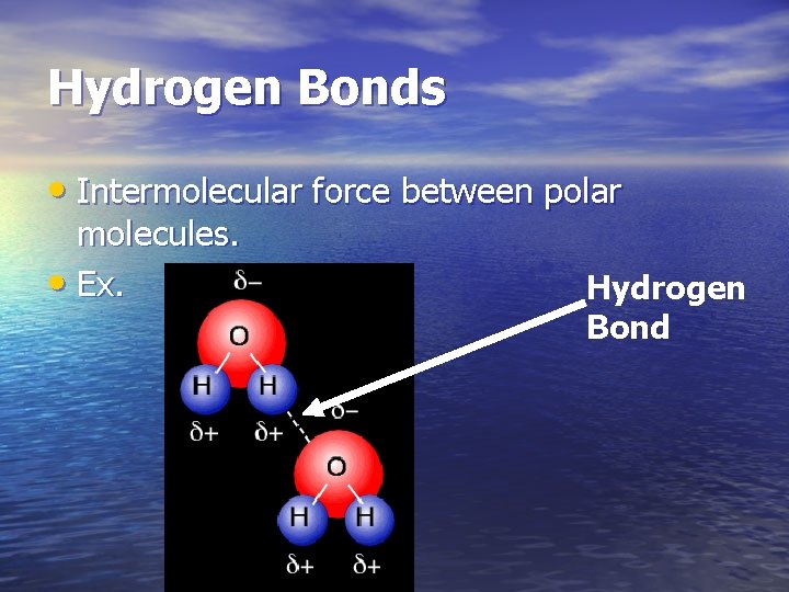 Hydrogen Bonds • Intermolecular force between polar molecules. • Ex. Hydrogen Bond 