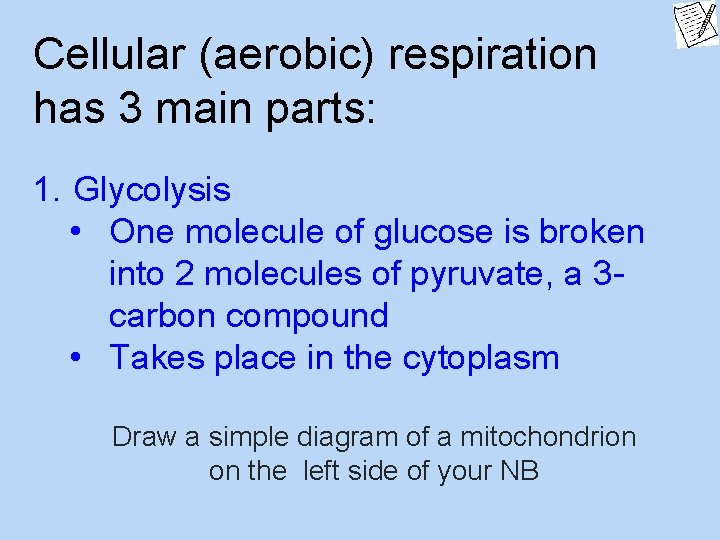 Cellular (aerobic) respiration has 3 main parts: 1. Glycolysis • One molecule of glucose