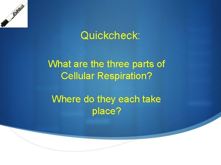 Quickcheck: What are three parts of Cellular Respiration? Where do they each take place?
