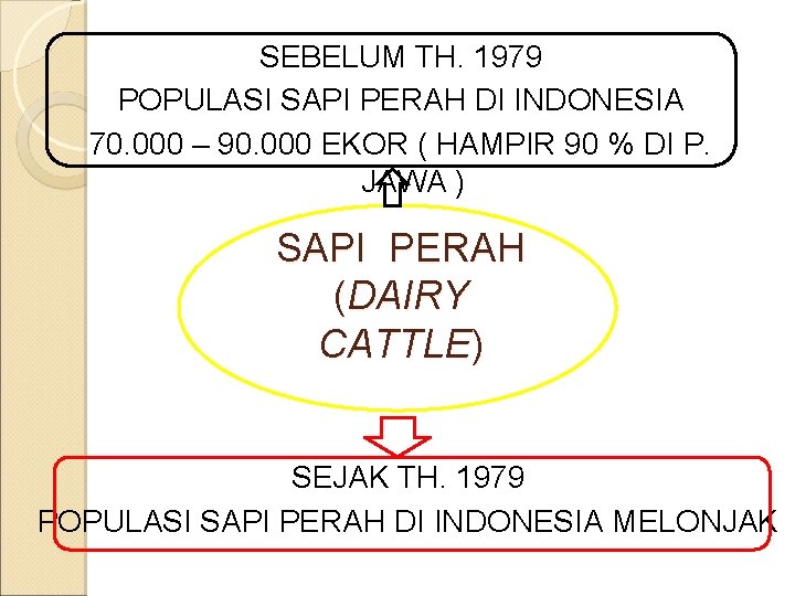 SEBELUM TH. 1979 POPULASI SAPI PERAH DI INDONESIA 70. 000 – 90. 000 EKOR