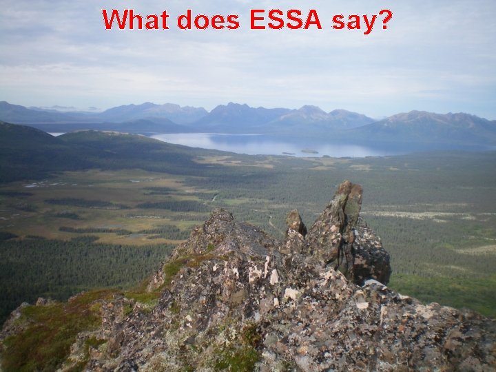 What does ESSA say? 