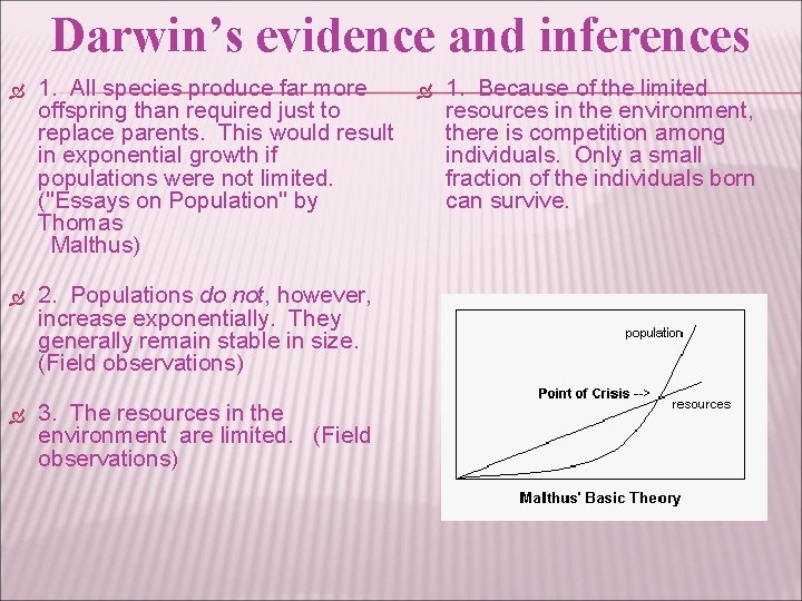 Darwin’s evidence and inferences 1. All species produce far more offspring than required just