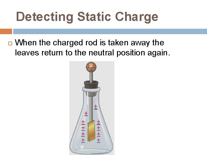 Detecting Static Charge When the charged rod is taken away the leaves return to