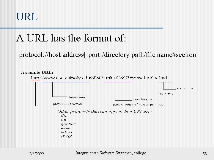 URL A URL has the format of: protocol: //host address[: port]/directory path/file name#section 2/6/2022