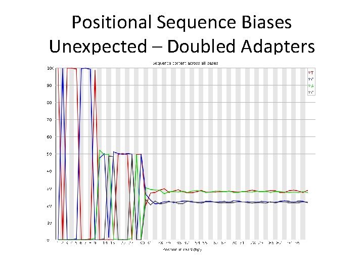 Positional Sequence Biases Unexpected – Doubled Adapters 