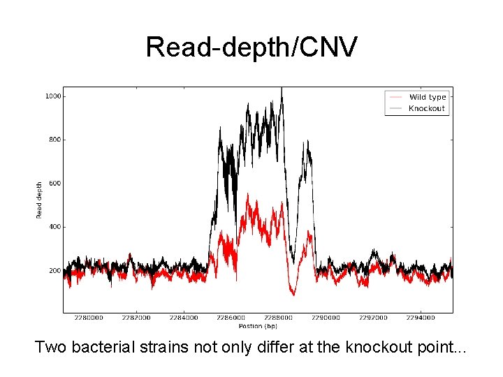 Read-depth/CNV Two bacterial strains not only differ at the knockout point. . . 