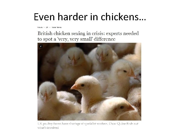 Even harder in chickens… 