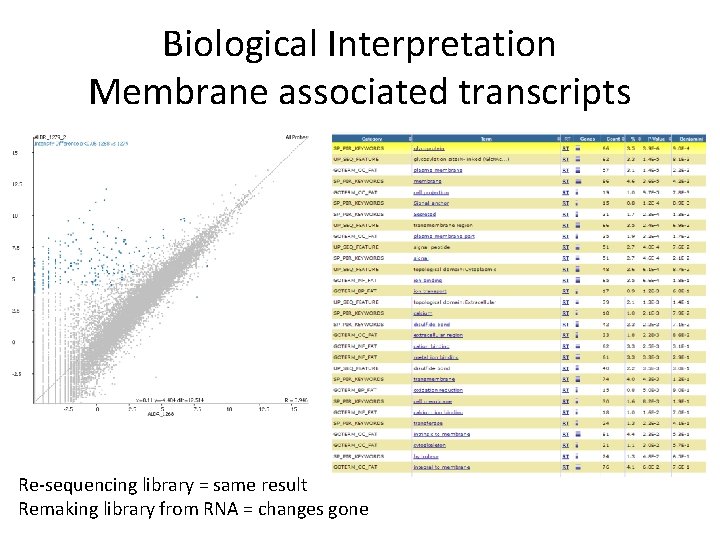 Biological Interpretation Membrane associated transcripts Re-sequencing library = same result Remaking library from RNA