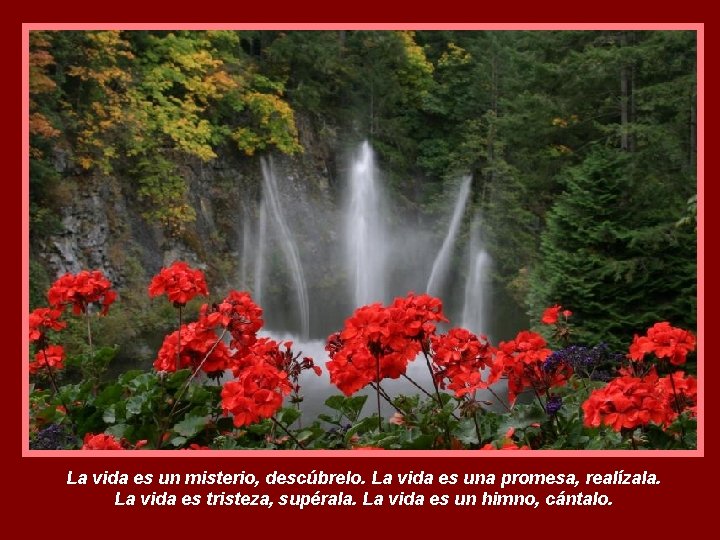 La vida es un misterio, descúbrelo. La vida es una promesa, realízala. La vida