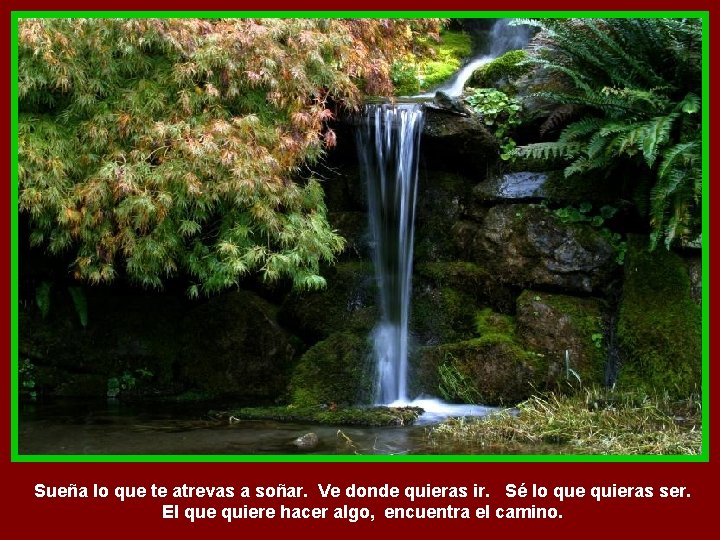 Sueña lo que te atrevas a soñar. Ve donde quieras ir. Sé lo que
