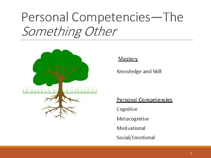 Personal Competencies—The Something Other Mastery Knowledge and Skill Personal Competencies Cognitive Metacognitive Motivational Social/Emotional