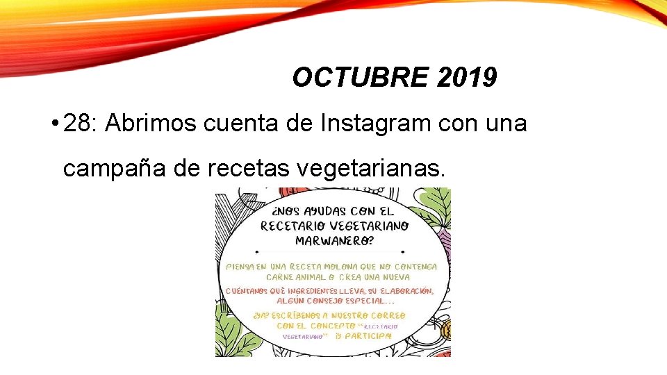 OCTUBRE 2019 • 28: Abrimos cuenta de Instagram con una campaña de recetas vegetarianas.