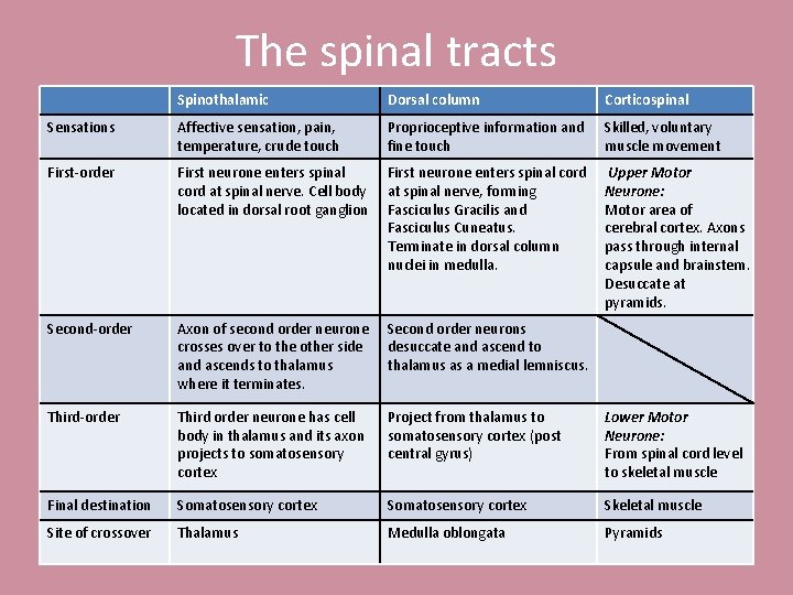 The spinal tracts Spinothalamic Dorsal column Corticospinal Sensations Affective sensation, pain, temperature, crude touch