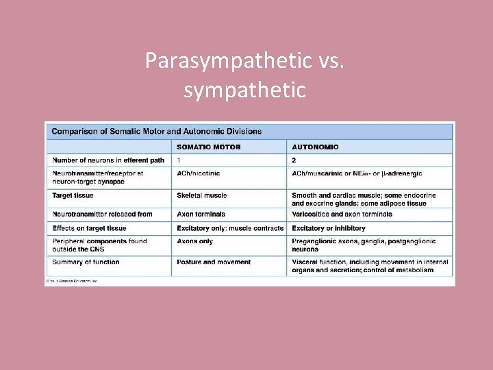 Parasympathetic vs. sympathetic 