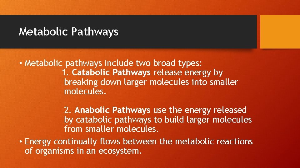 Metabolic Pathways • Metabolic pathways include two broad types: 1. Catabolic Pathways release energy