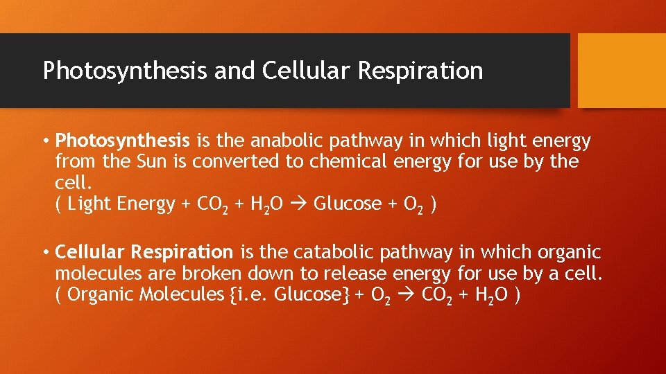 Photosynthesis and Cellular Respiration • Photosynthesis is the anabolic pathway in which light energy