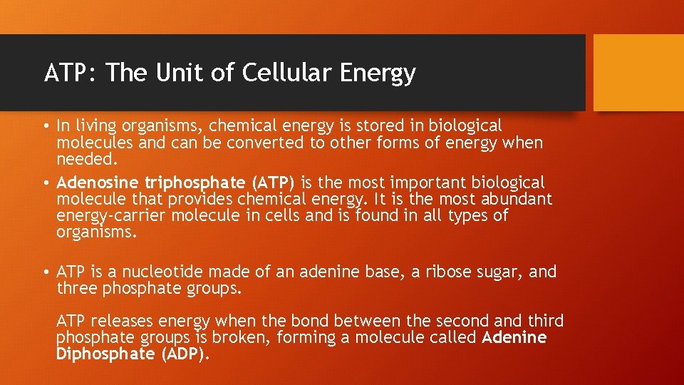 ATP: The Unit of Cellular Energy • In living organisms, chemical energy is stored