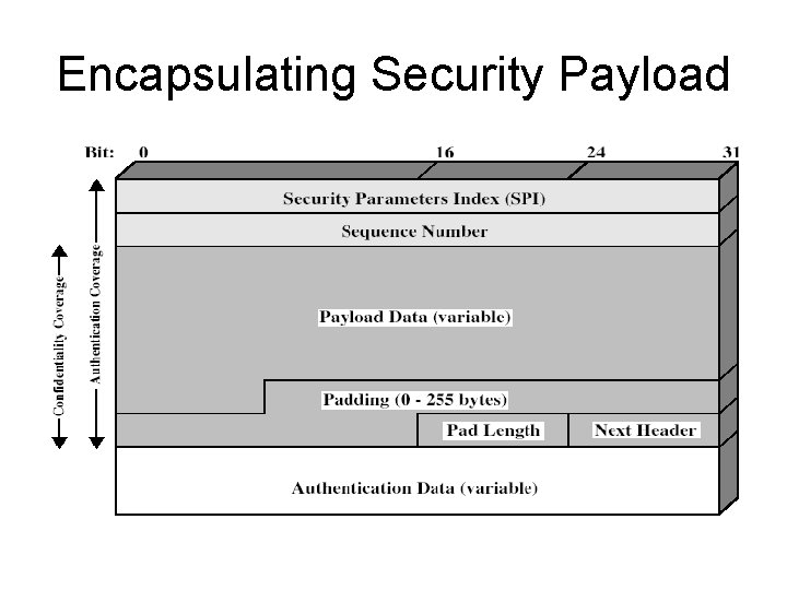 Encapsulating Security Payload 