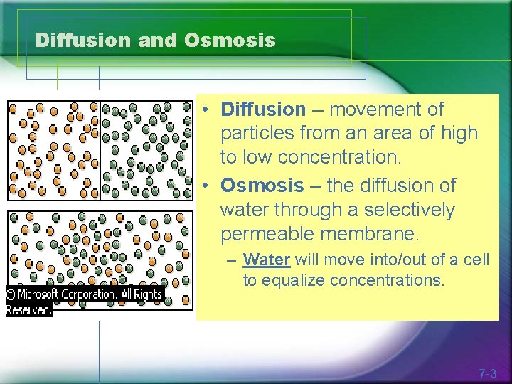 Diffusion and Osmosis • Diffusion – movement of particles from an area of high