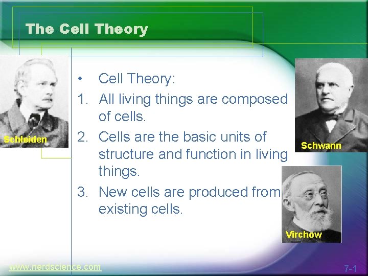 The Cell Theory Schleiden • Cell Theory: 1. All living things are composed of
