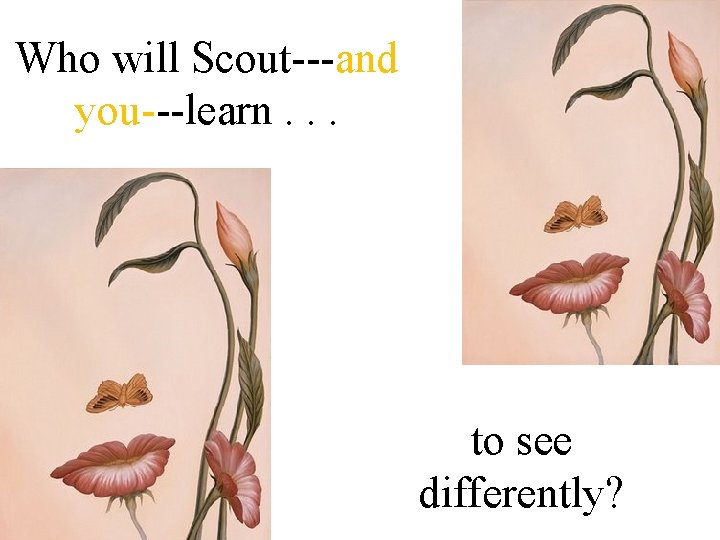 Who will Scout---and you---learn. . . to see differently? 