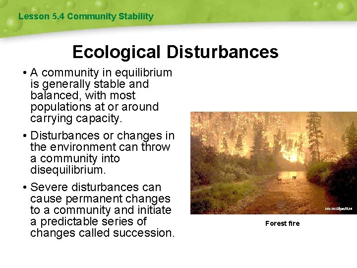 Lesson 5. 4 Community Stability Ecological Disturbances • A community in equilibrium is generally