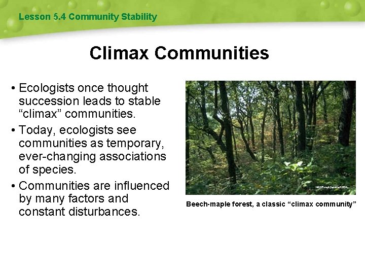 Lesson 5. 4 Community Stability Climax Communities • Ecologists once thought succession leads to