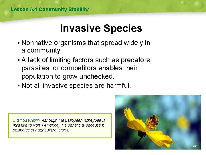 Lesson 5. 4 Community Stability Invasive Species • Nonnative organisms that spread widely in