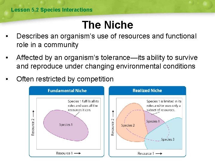 Lesson 5. 2 Species Interactions The Niche • Describes an organism’s use of resources