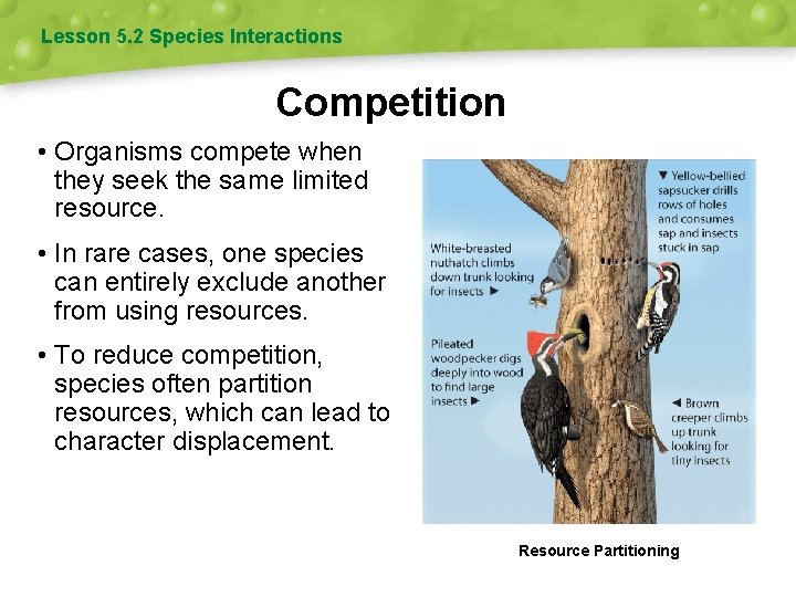 Lesson 5. 2 Species Interactions Competition • Organisms compete when they seek the same