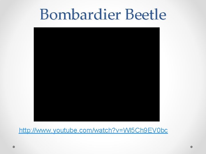Bombardier Beetle http: //www. youtube. com/watch? v=Wl 5 Ch 9 EV 0 bc 