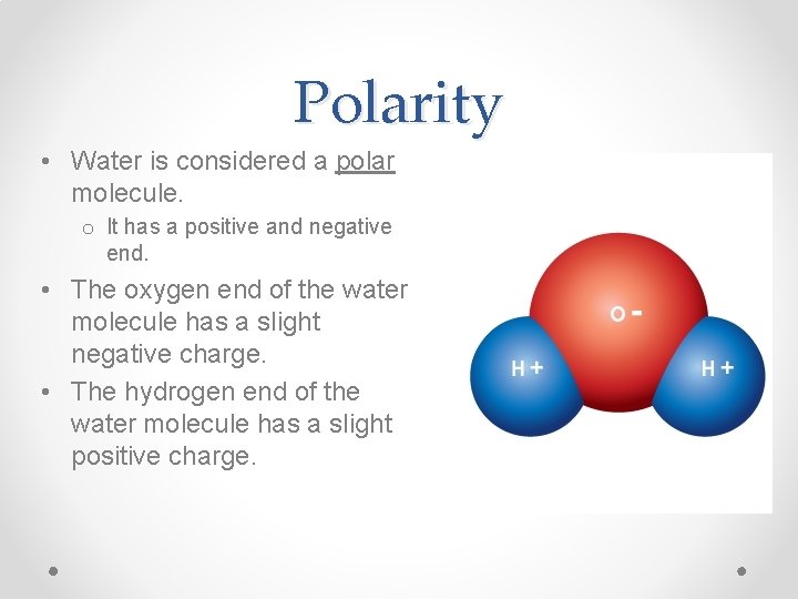 Polarity • Water is considered a polar molecule. o It has a positive and