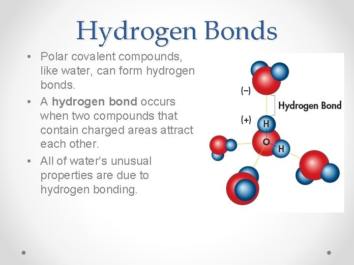 Hydrogen Bonds • Polar covalent compounds, like water, can form hydrogen bonds. • A
