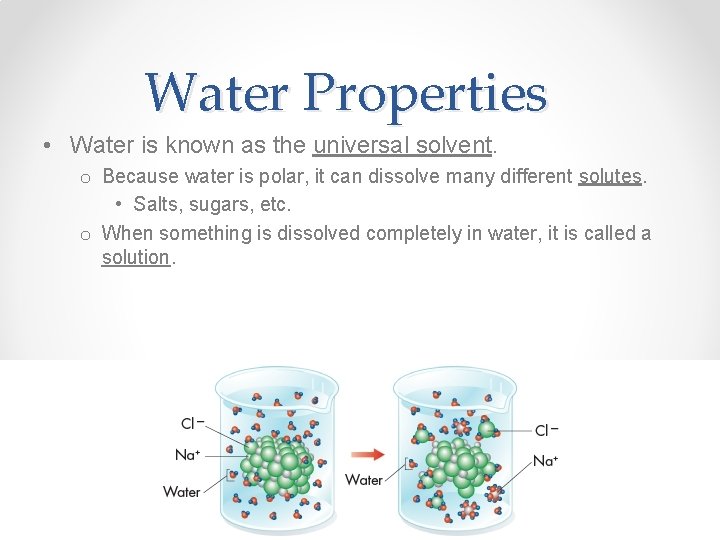 Water Properties • Water is known as the universal solvent. o Because water is