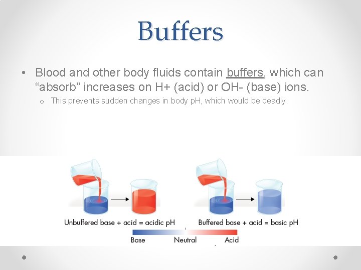 Buffers • Blood and other body fluids contain buffers, which can “absorb” increases on